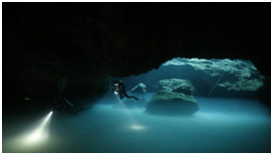 Nouvelle image 5