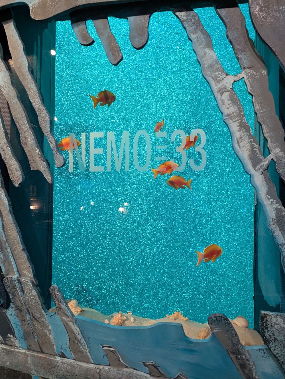 Nemo33 2025 01 25 PXL 20250125 144543086.MP 1