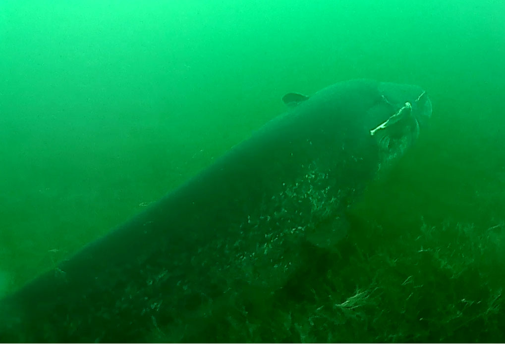 PHOTO 2021 02 14 08b