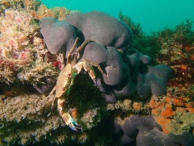 thumbnail 217897524 4256279044418538 6719371396046420733 n