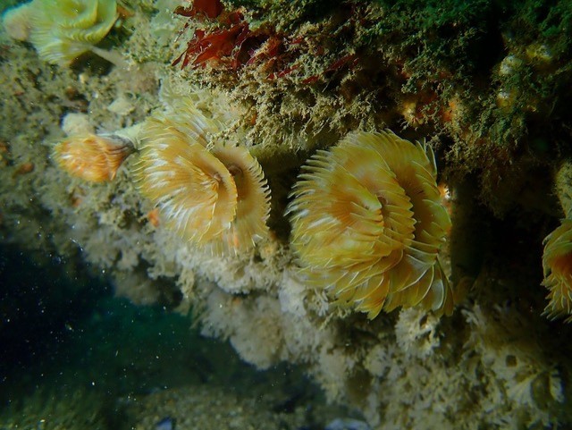 thumbnail 218282002 4256272107752565 6139977527151260070 n