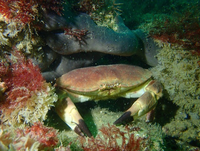 thumbnail 218805960 4256277027752073 8388812830379700461 n