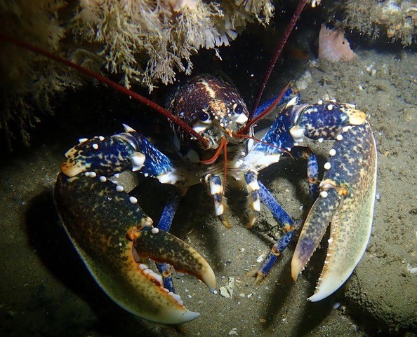 thumbnail 218857005 4256272227752553 3535448210428328391 n