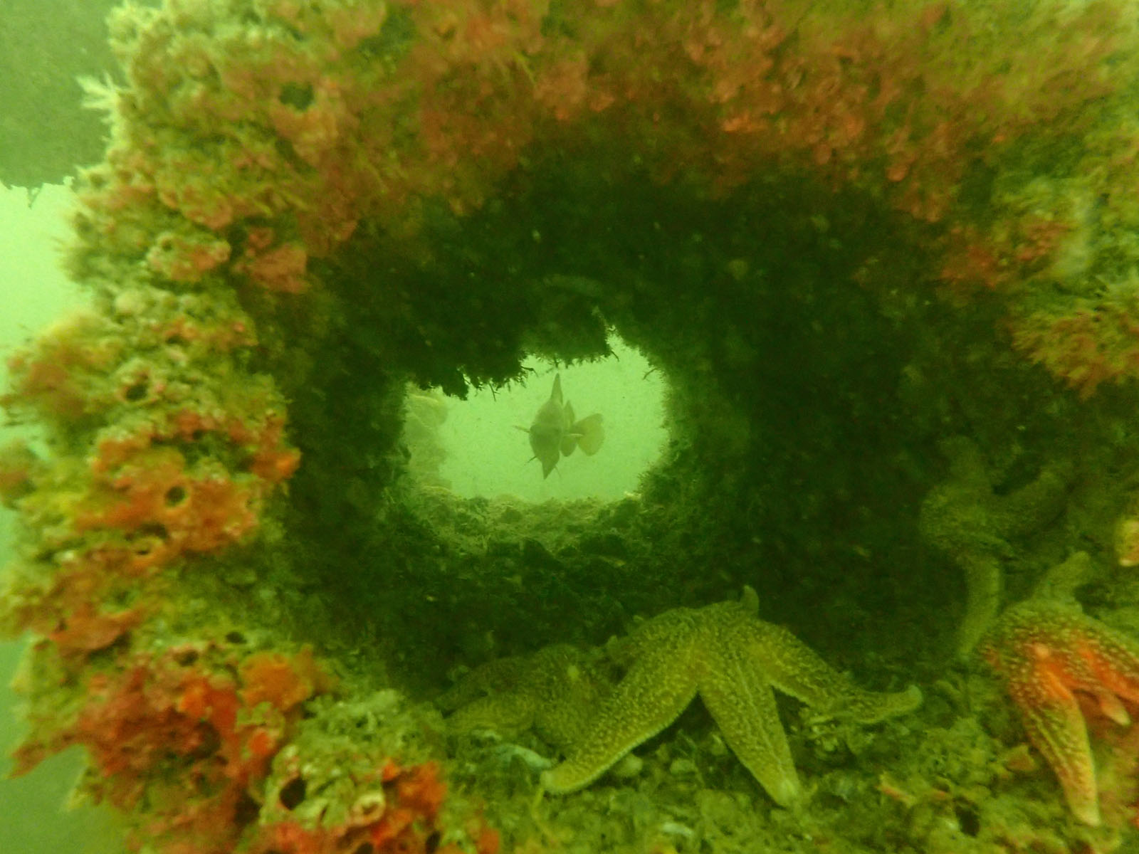 20210829 Dieppe IMG 2579