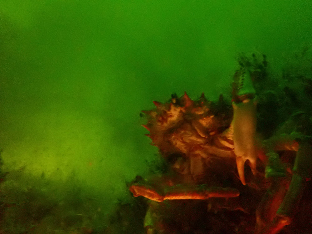 202205 08 Dieppe IMG 6036