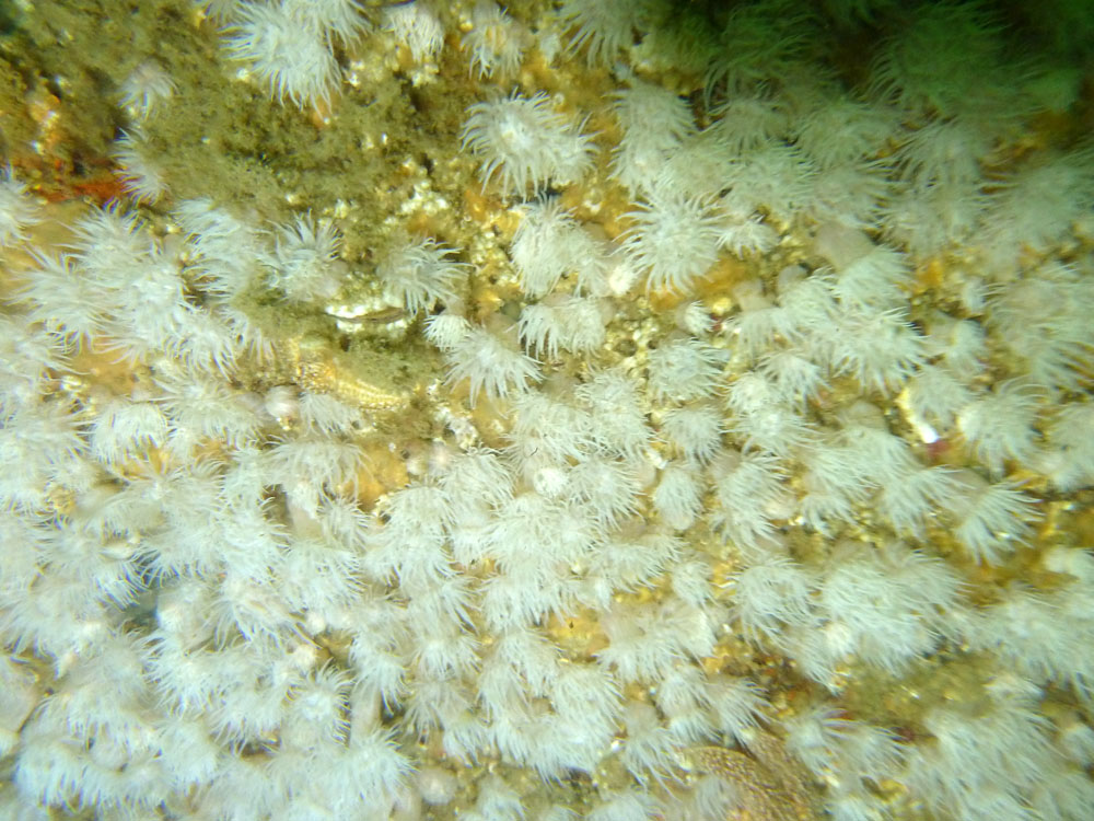 202205 08 Dieppe P1050176