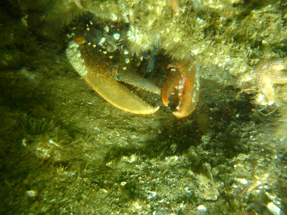 202205 08 Dieppe P1050190