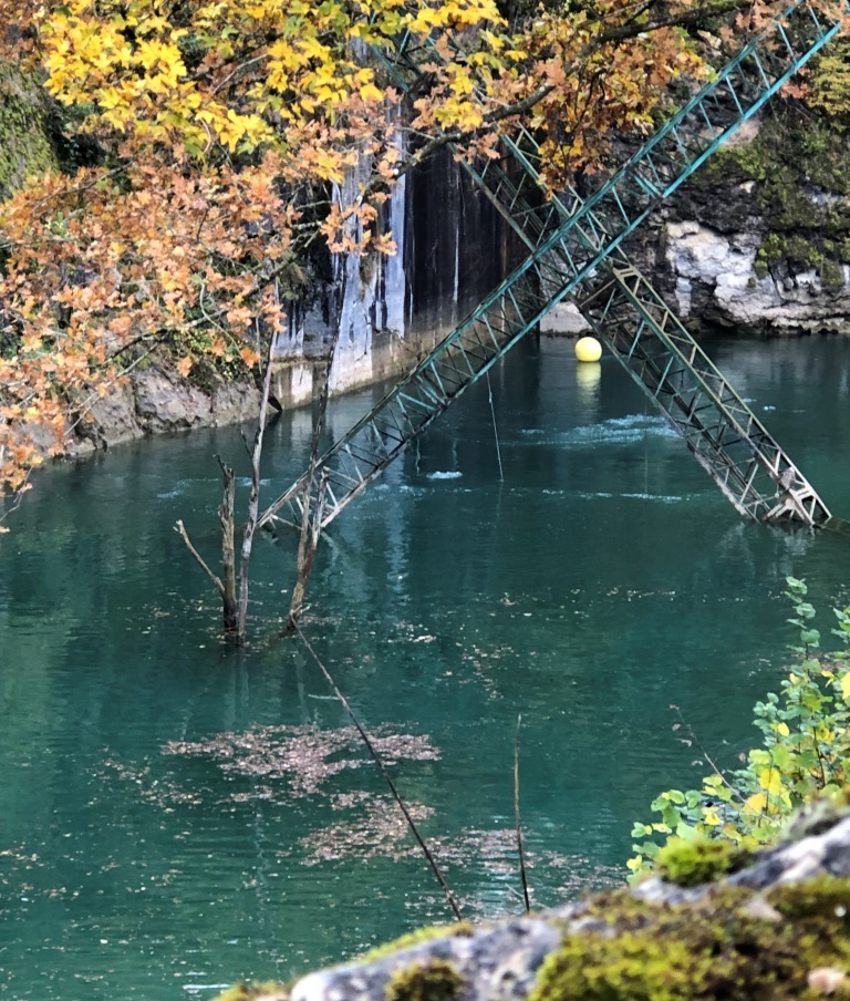 172B9741 1322 43F8 ABD7 995560EAC08C