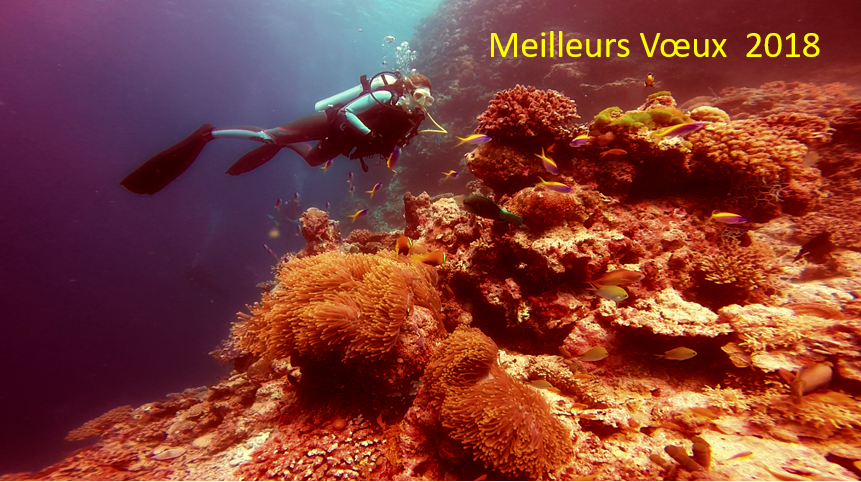 Voeux Amiens sub 2018