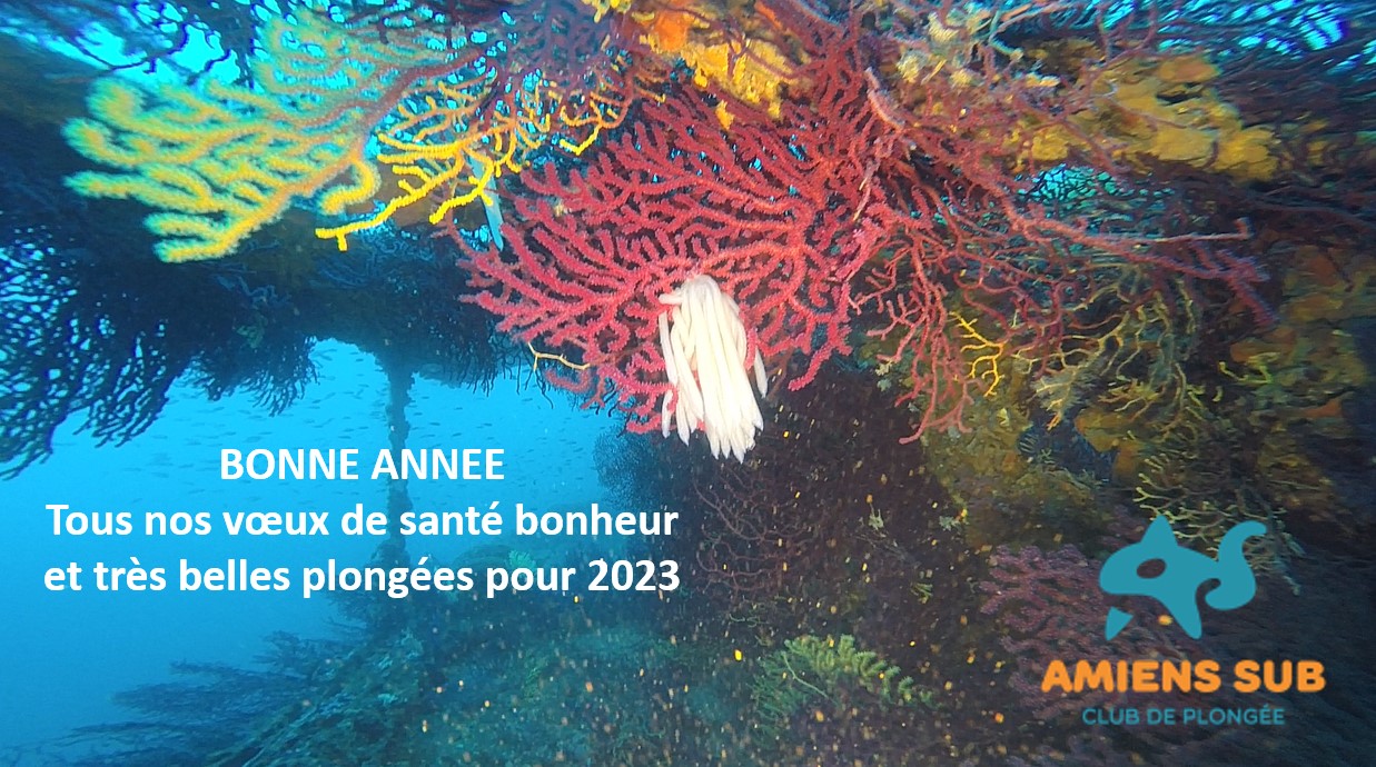 Carte de voeux 2023