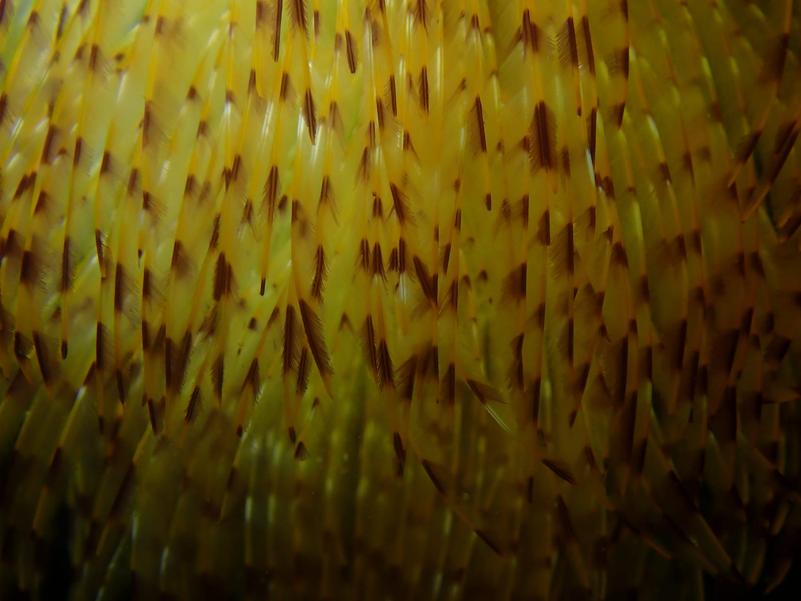 PP1 20250530 154336 tg 6 1920