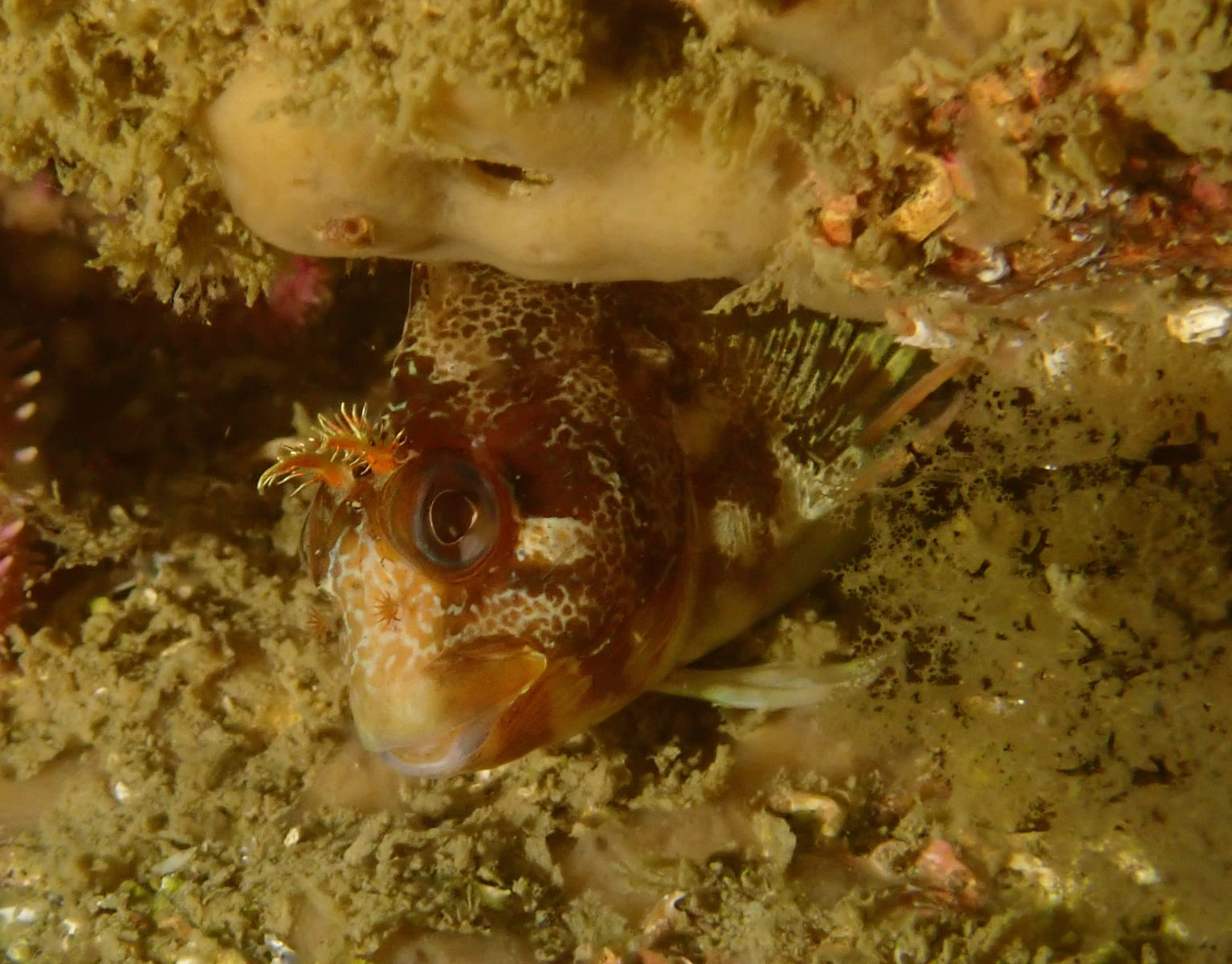 PP1 20250531 104238 tg 6 v3 1920