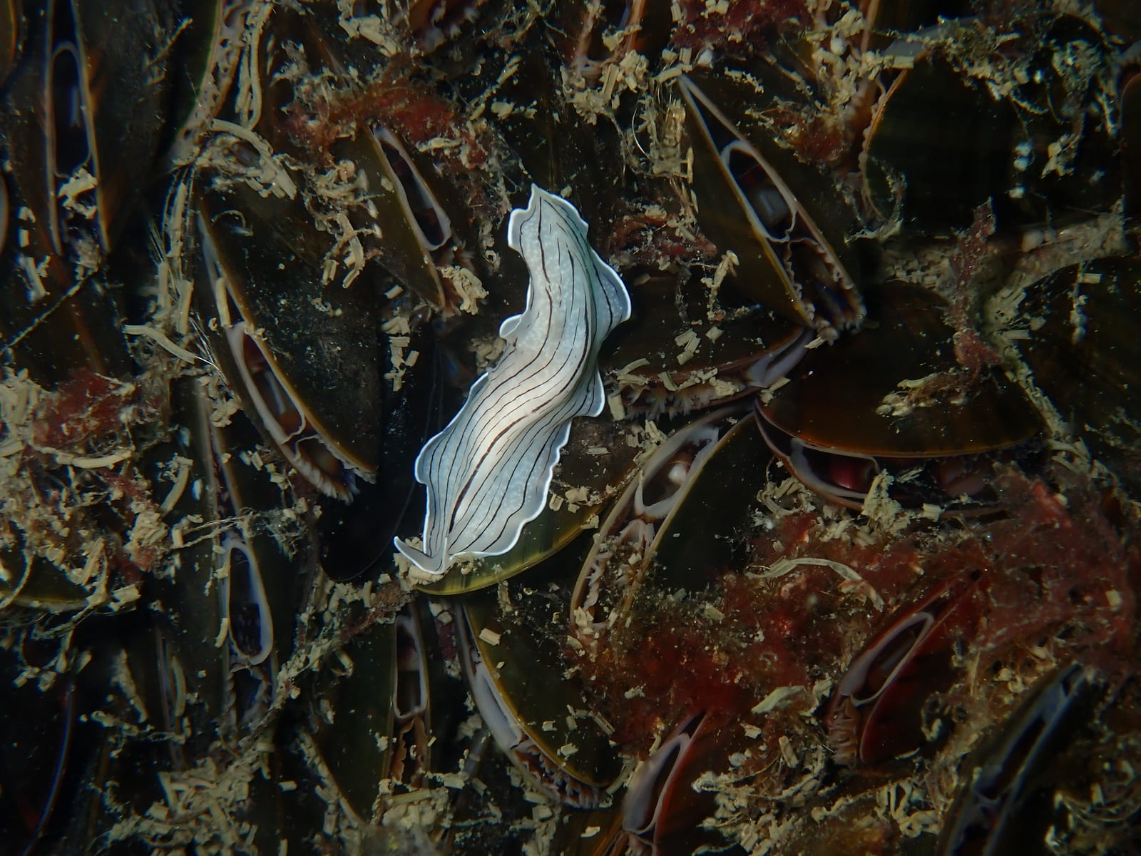 PP1 20250601 112047 tg 6 1920