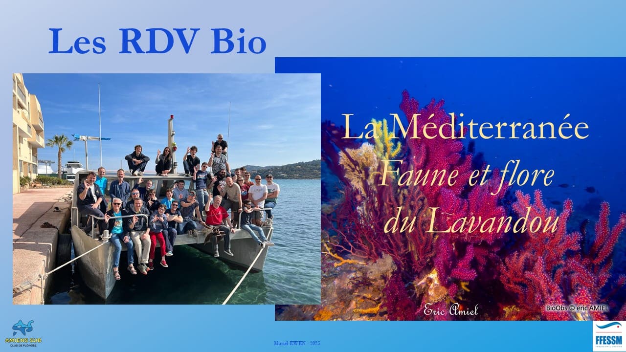 RDV Bio La méditerranée 2025 Tous niveaux